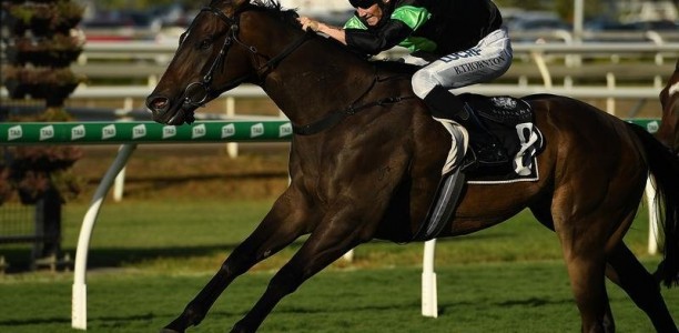 Two jockeys suspended at Sunshine Coast