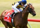 Azuro in line for NZ trip for Auckland Cup
