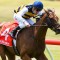 Azuro in line for NZ trip for Auckland Cup