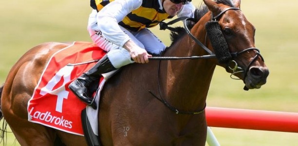 Azuro in line for NZ trip for Auckland Cup