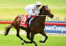 Sense Of Honour impresses in Sandown debut
