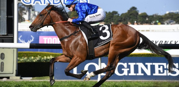 Watch: Star Godolphin gallopers win trials