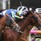 G1 performer out to turn form around