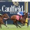Caulfield meeting expected to be wet