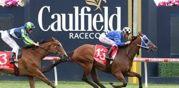 Caulfield meeting expected to be wet