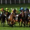 Riders cleared after Australia Stakes fall