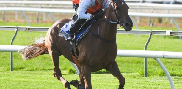 Vow And Declare on track for autumn return