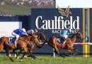 Punters back proven WFA horses in CF Orr Stakes