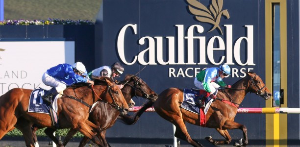 Punters back proven WFA horses in CF Orr Stakes