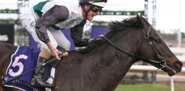 Enigmatic So Si Bon to become a million dollar earner