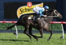 Acting set to sprint well fresh at Caulfield