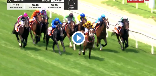 Blue Diamond Prelude (Fillies) results and replay – 2020