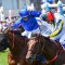 Microphone storms home in Autumn Stakes