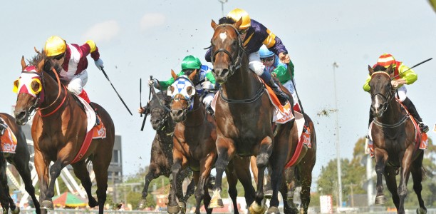 Punters collects big First 4 at Caulfield