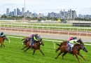 Excess Funds resumes with Flemington win