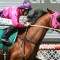 Soul Patch to take on stars in CS Hayes Stakes