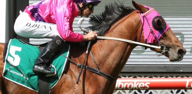 Soul Patch to take on stars in CS Hayes Stakes