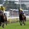 Hong Kong champion officially retired