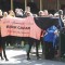 Black Caviar to attend Lightning Stakes