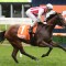 Super Seth to be set for G1 Futurity Stakes