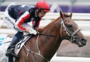 Dalasan ready for C S Hayes Stakes clash