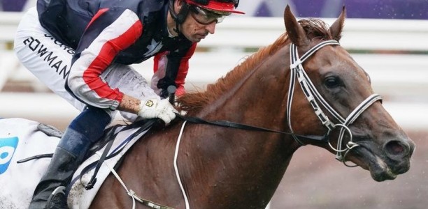 Dalasan ready for C S Hayes Stakes clash