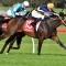 Consolation double for Busuttin and Young stable