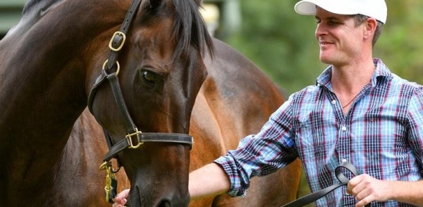 Black Caviar set for Flemington appearance