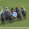 Light Fingers Stakes results and replay – 2020