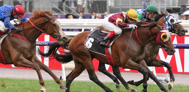 Futurity Stakes or Chipping Norton next for Fierce Impact