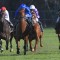 Bivouac early favourite for Oakleigh Plate