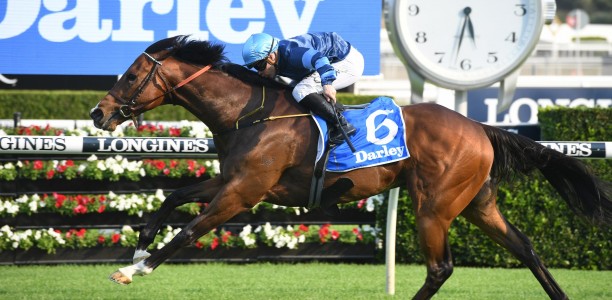 Julian Rock, Al Mah Haha first into NSW Country Championship final