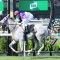 Doncaster Mile becoming unlikely for fan favourite