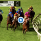Typhoon Tracy Stakes results and replay – 2020