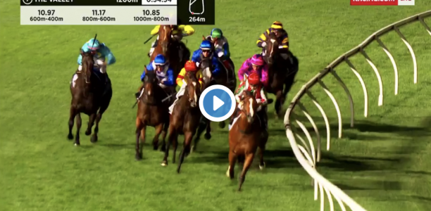 Typhoon Tracy Stakes results and replay – 2020