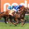 Blue Diamond Stakes favourite gets a new jockey