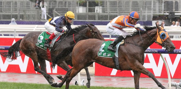Star NZ mares odds blow out in Futurity Stakes
