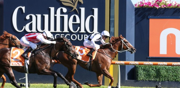 Punter lands massive collect from $1 bet