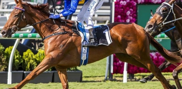 Gem of Scotland heads to Doomben