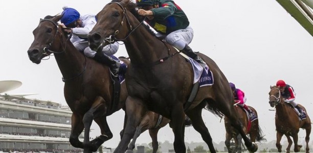 Catalyst ready to draw blood in Guineas