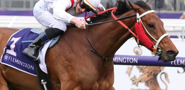 Stablemates dominate the Mowbray Stakes market