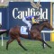 VOBIS Gold Eldorado Field – 2020