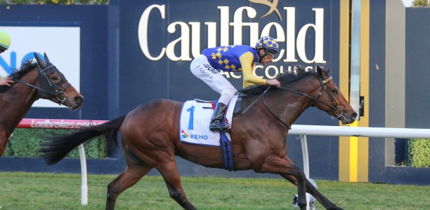 VOBIS Gold Eldorado Field – 2020