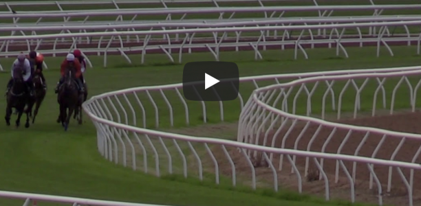 Watch: Black Caviar’s daughter impresses in jumpout
