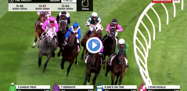 Watch: All Star Mile contender runs last at Moonee Valley