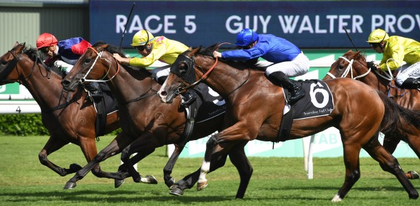 Dawn Dawn earns Group One Coolmore Classic start