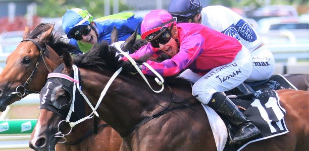 Horses cough costs jockey hefty fine