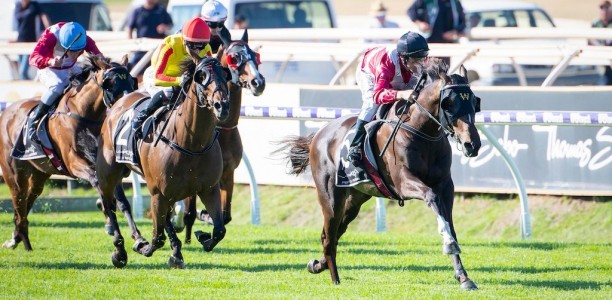 Regal Power on target for G1 Australian Cup