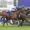 Catalyst ruled out of All Star Mile field