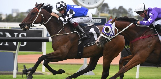Mustajeer unlikely for Sydney Cup